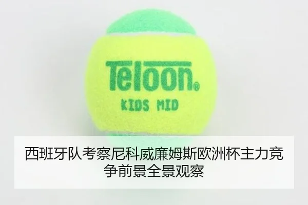 西班牙队考察尼科威廉姆斯欧洲杯主力竞争前景全景观察