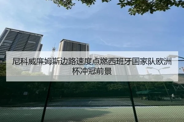 尼科威廉姆斯边路速度点燃西班牙国家队欧洲杯冲冠前景